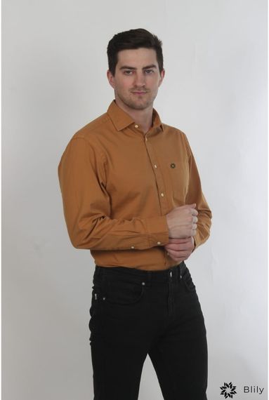 Men Formal Shirts