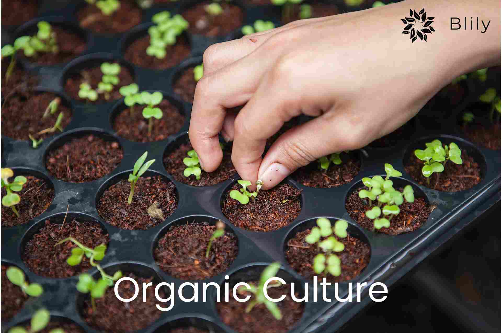 Organic gardening