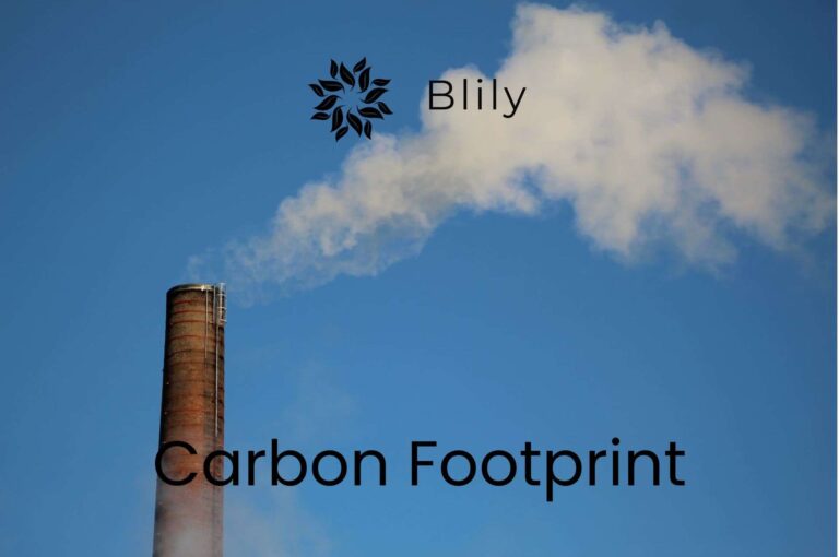 Carbon Footprint