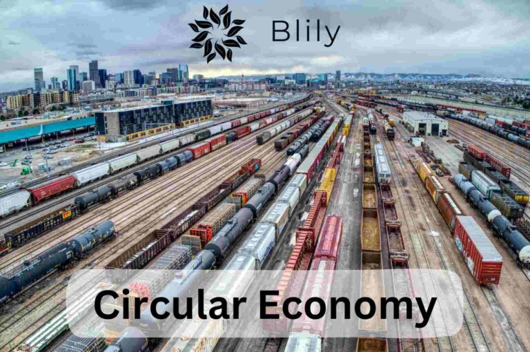 Circular Economy