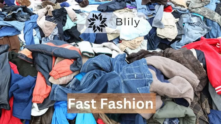 Fast Fashion
