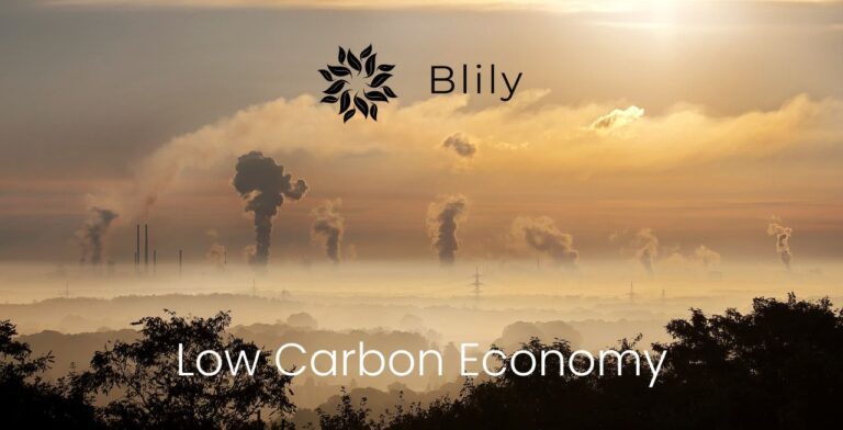 Low Carbon Economy