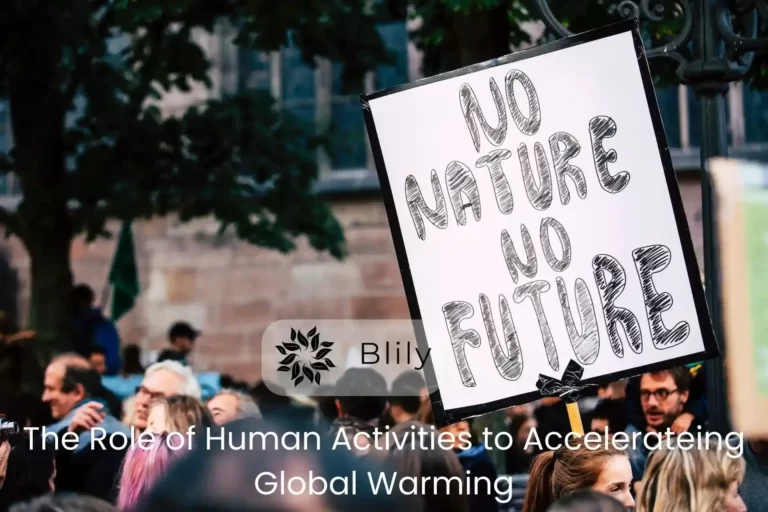 Global Warming Effect