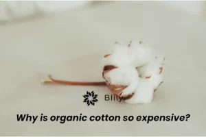 Why is organic cotton so expensive?
