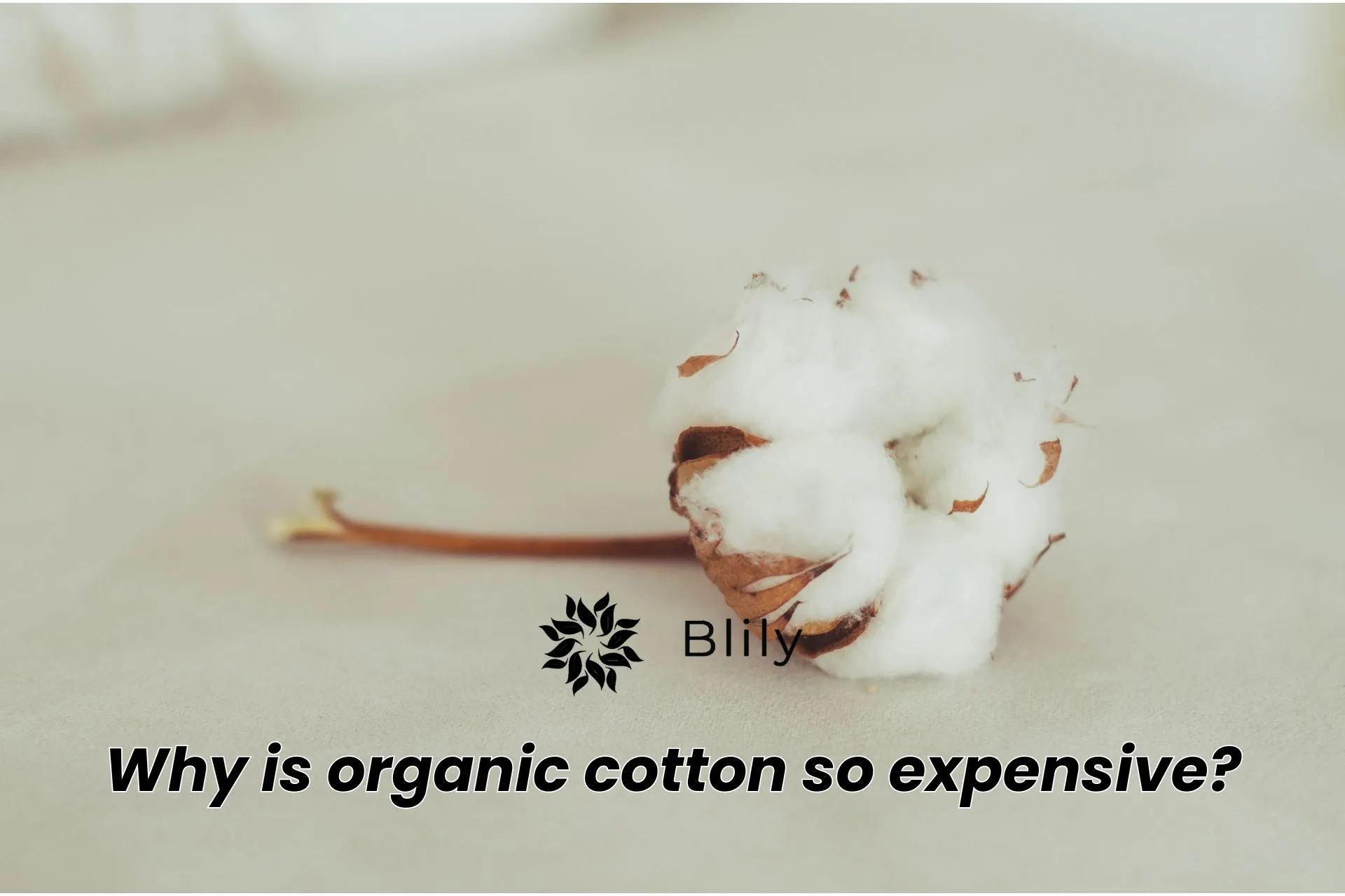 When It Comes To Sustainable Cotton, Fashion's Focused On 1% at the Expense  Of The Other 99. Why?