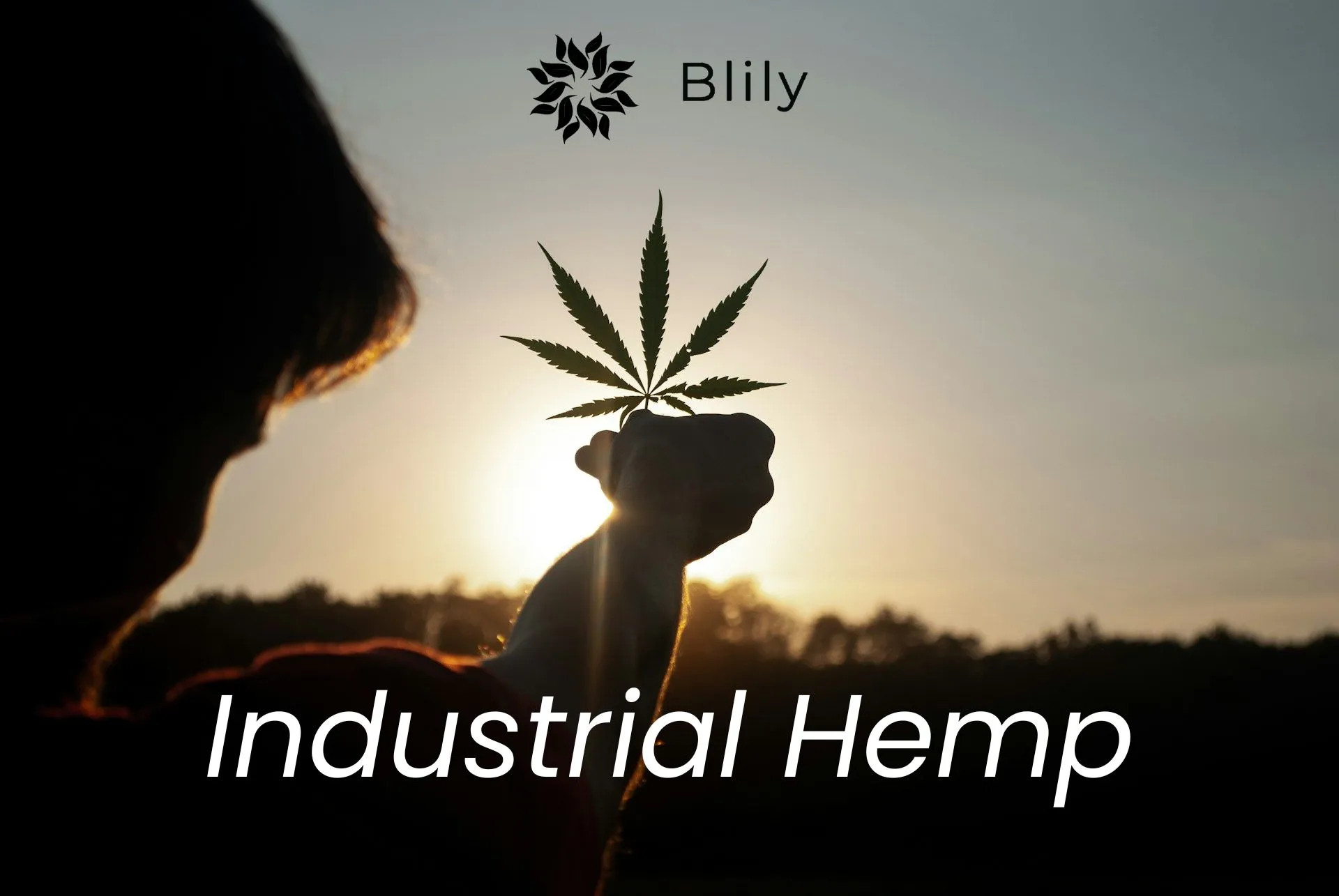Industrial Hemp