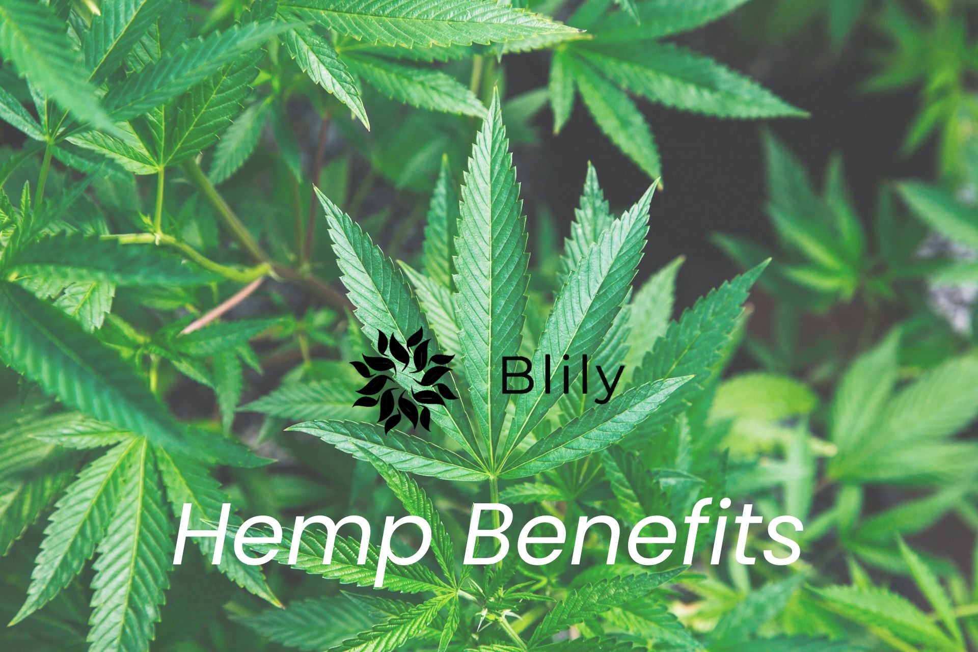 Hemp Benefits