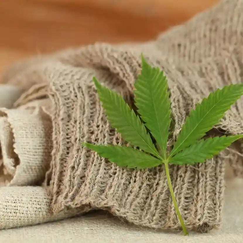 Sustainable fashion Brands
