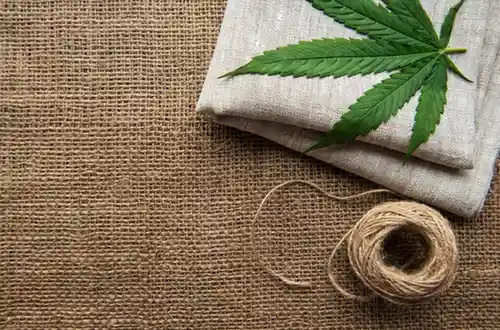 Biodegradable hemp