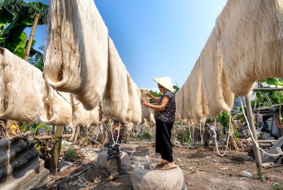 Bamboo Fabric