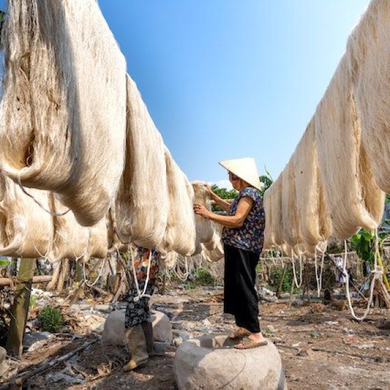 Bamboo Fabric